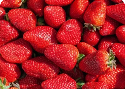Gratin de fraises et amandes